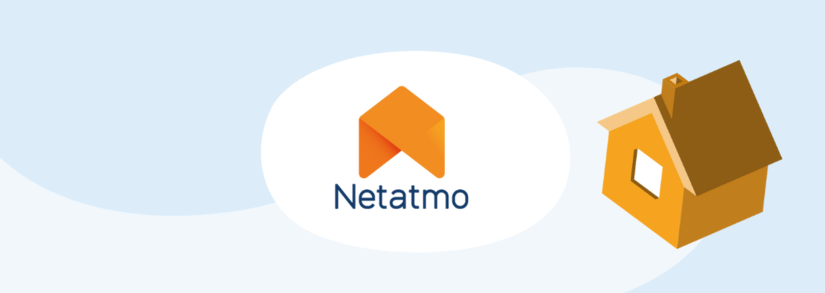 Système d'Alarme Vidéo Intelligent Netatmo : 3 produits en 1 -  professionnel